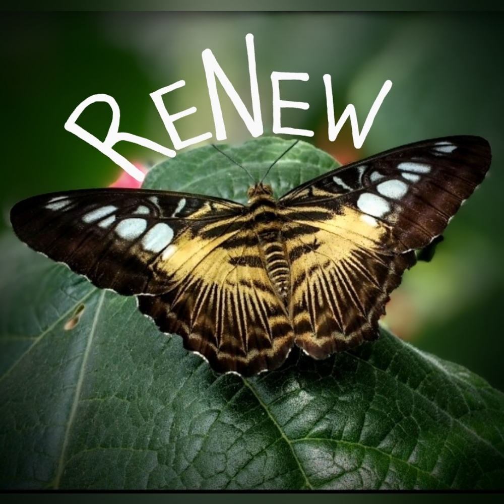 Meet your Posher, Jess